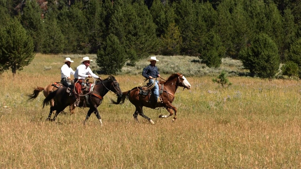 The life of Bill Tilghman: bounty hunter legend