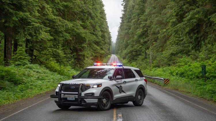 WSP seeks witnesses to police impersonator in Skagit Valley