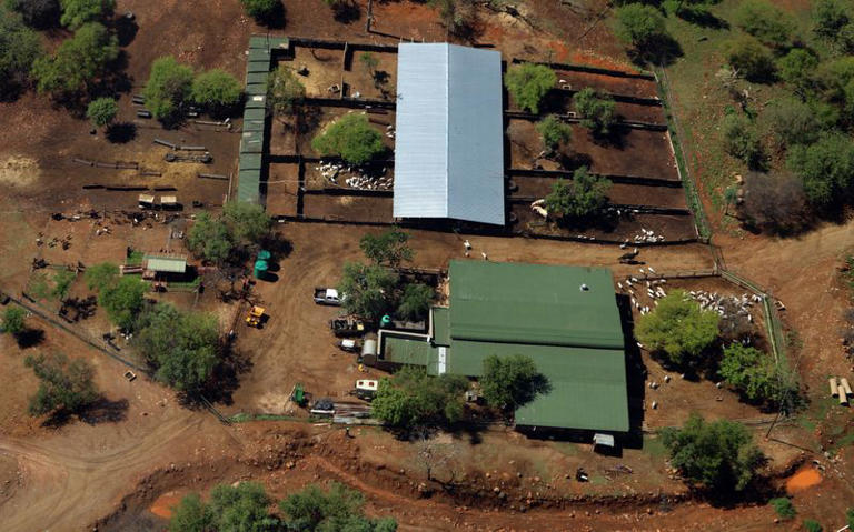 Title deeds may be key to unlocking SA agriculture’s full potential
