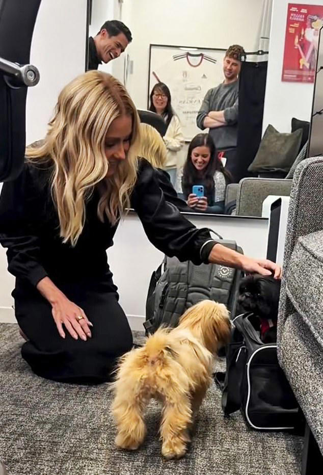 Kelly Ripa and Mark Consuelos suffer distressing setback to new dog ...