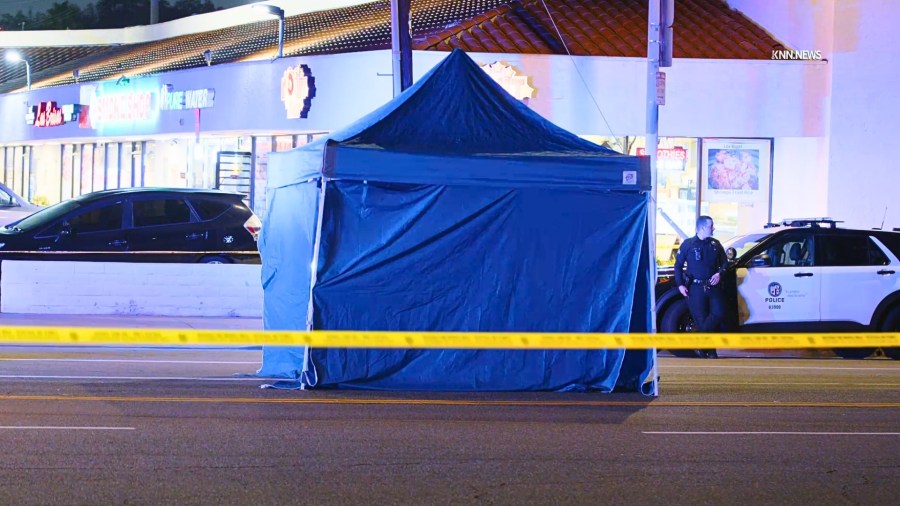Driver with white trailer sought after fatal San Pedro crash