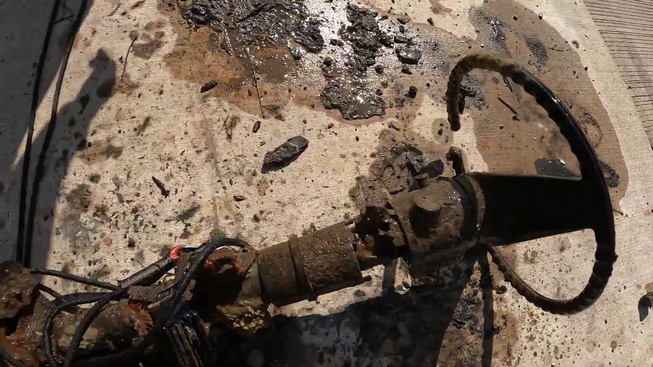 They went fishing in one of America's most contaminated towns - what ...