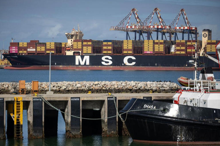 Container ship orderbook hits 46.5% of fleet, a post-2009 high