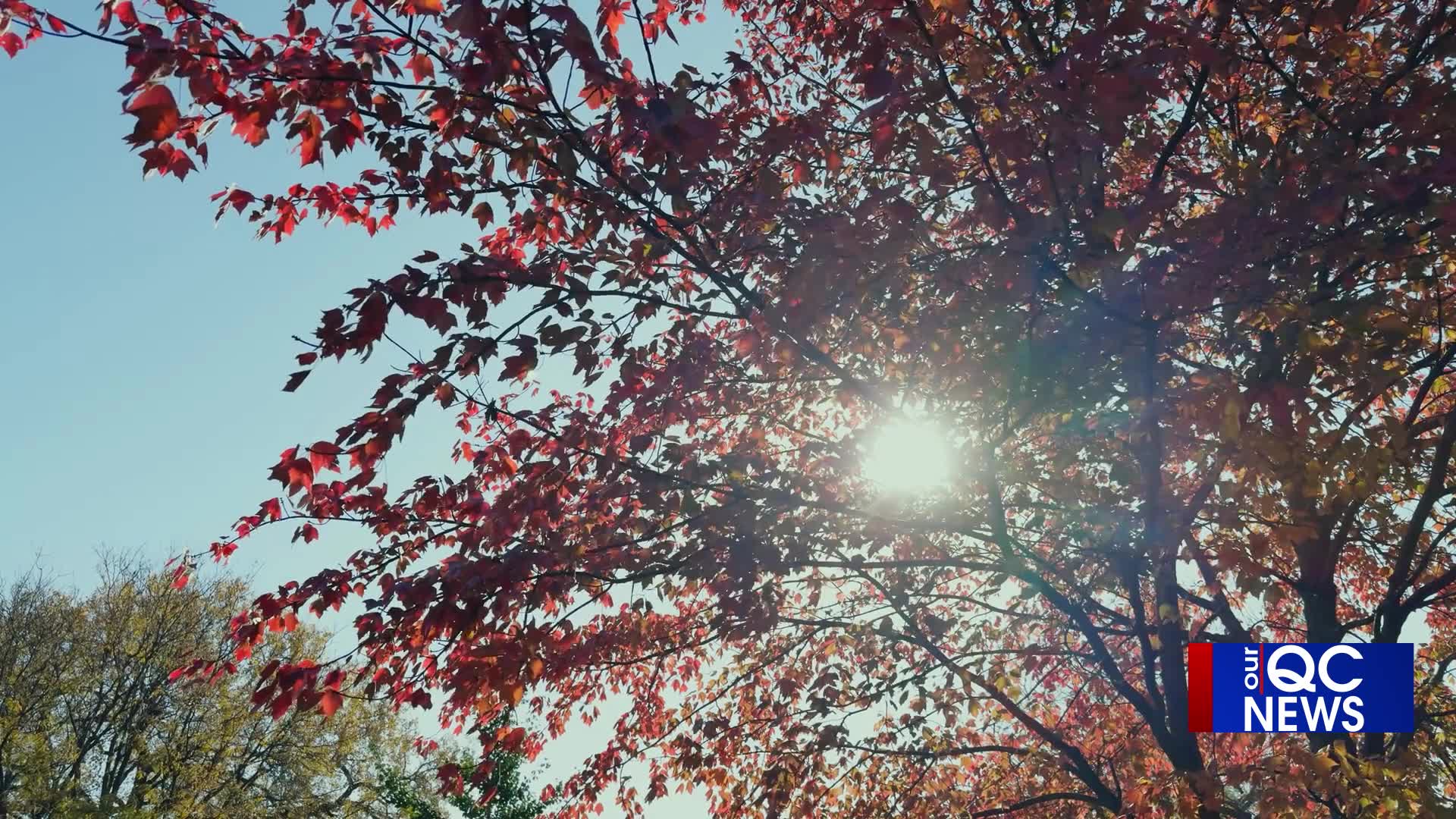 Colors change, temps drop: Prepare for fall with our QC News