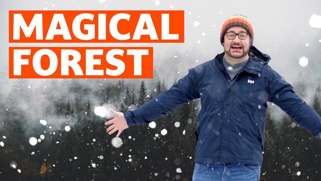 Cruising through Germany's snowy Black Forest