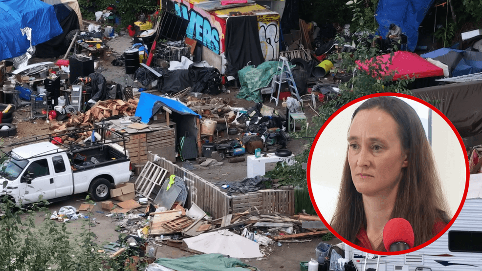 Mayor Wilson reveals new strategy to reduce homelessness