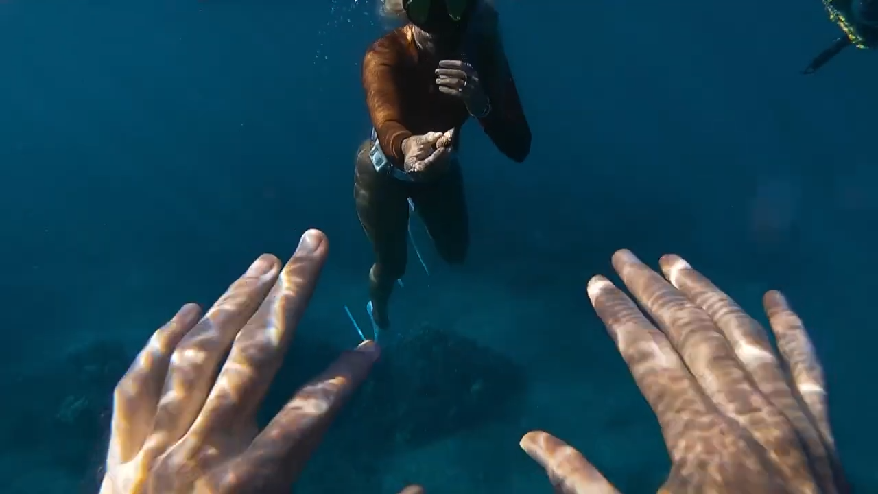 Excuse me, sir - he found an entire fishing pole sitting underwater