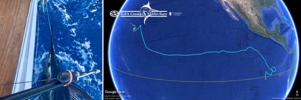IGFA Great Marlin Race comes full circle as founders claim 2025-26 title