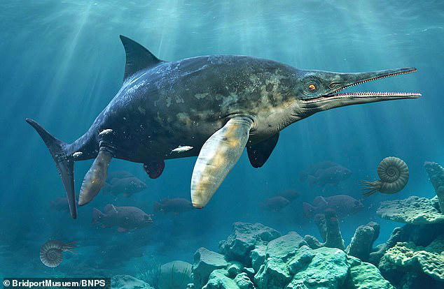 Belgian tourists discover the remains of a 174 million-year-old giant ...