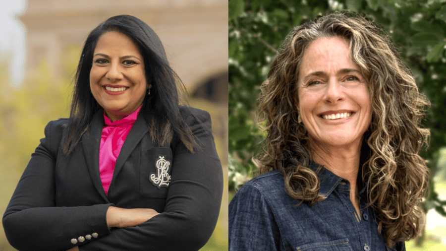 Sethi, Mushtaler compete to succeed Vikki Goodwin in House District 47