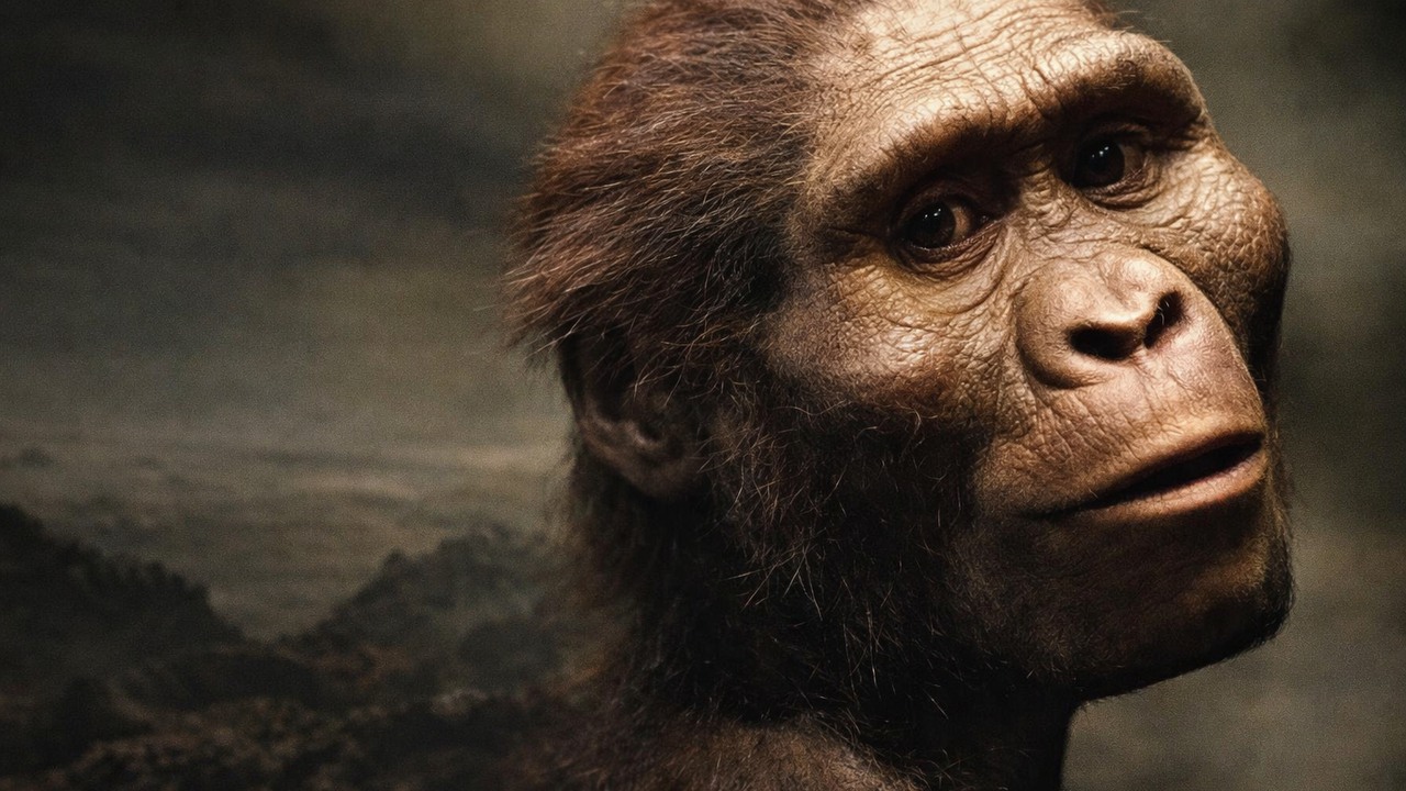 Homo habilis: The first 'humans'