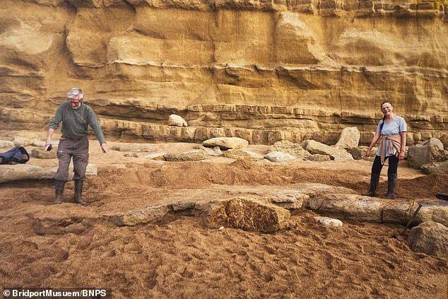 Belgian tourists discover the remains of a 174 million-year-old giant ...