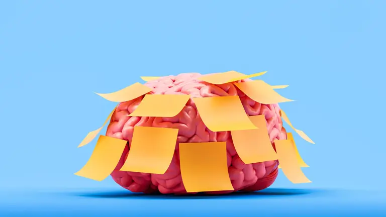 Think stress always hurts your memory? A Yale study found the opposite ...