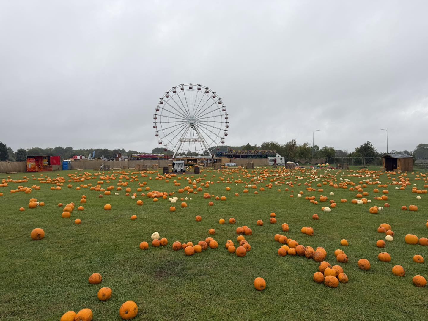 Suffolk’s ‘most depressing pumpkin patch’ event compared to Willy Wonka ...