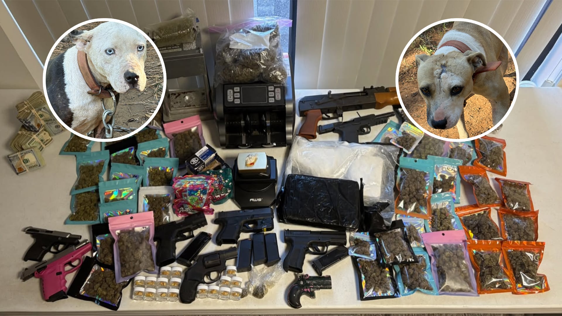 Lancaster County advocates push prevention after massive 'Duffle Bag ...