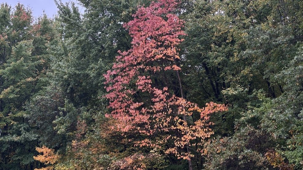 Columbus weather: Cool fall mornings and great afternoons continue