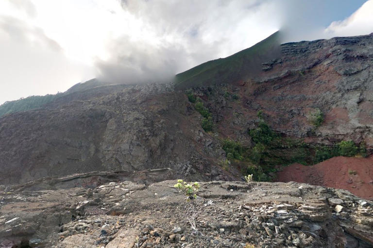 Scent-tracking dog recovers a missing 70-year-old man near a volcano ...