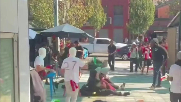 Berkeley High's unity week: Downtown group attacks leave teen, worker ...