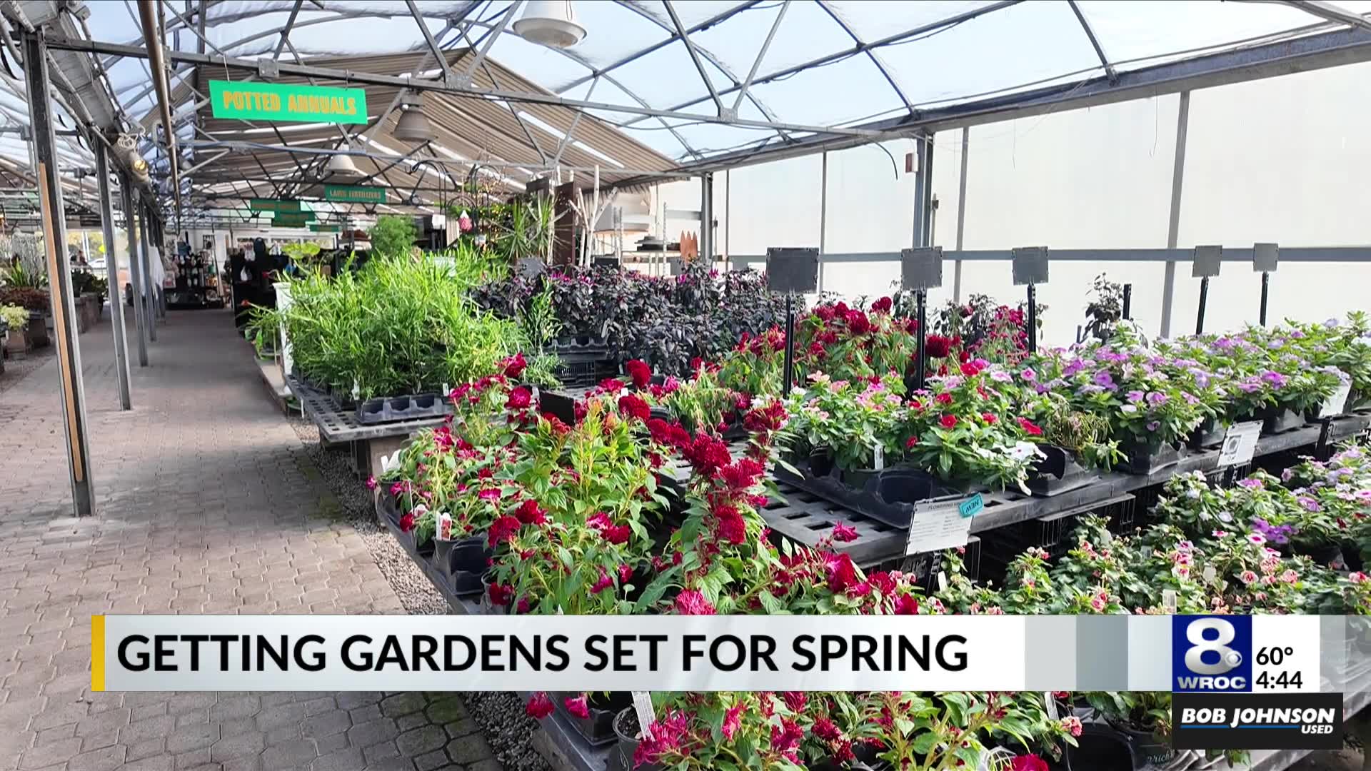 Garden season isn't over yet: What to do before winter