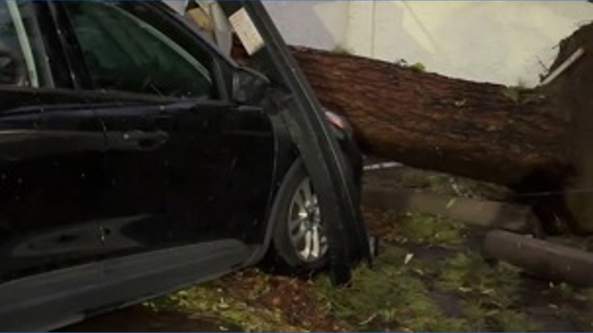 Storm knocks down trees, damages cars