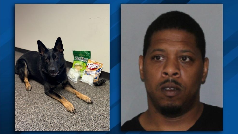 Man facing cocaine trafficking charges pleads guilty in Saratoga County