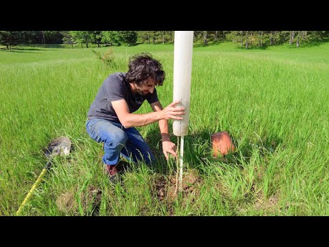I spent 661 days planting every tree on Earth 🌱