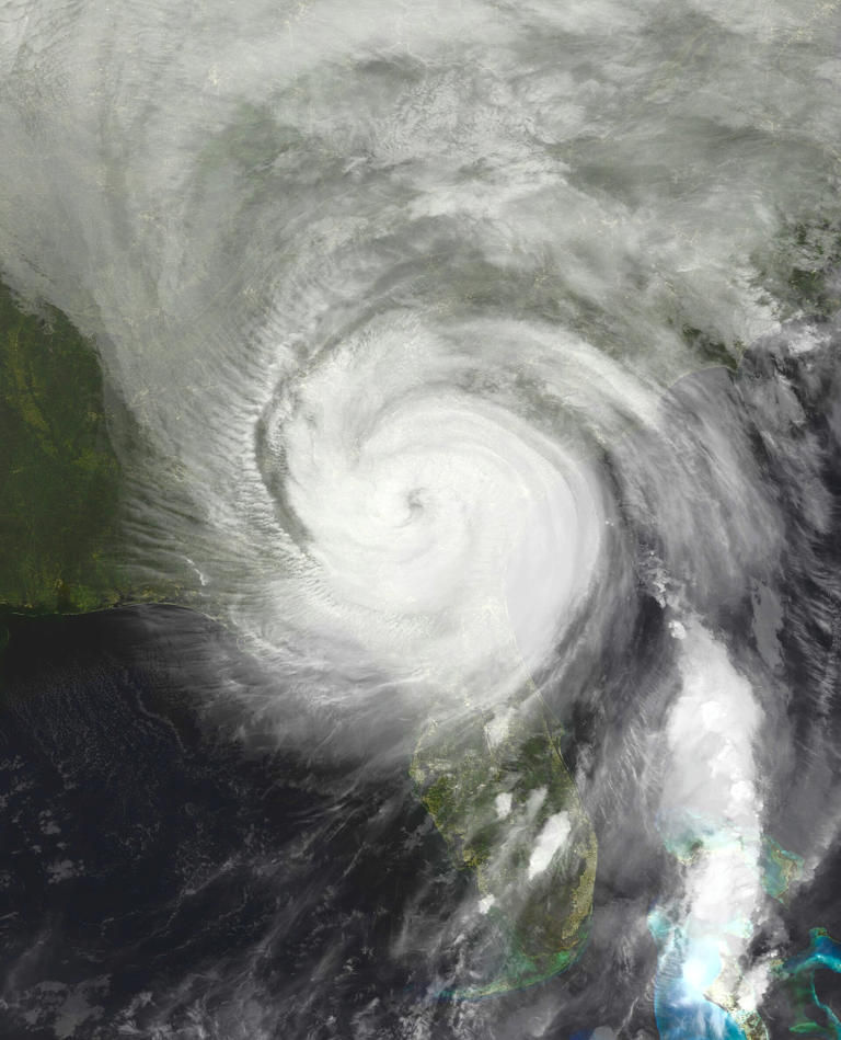 'Water cane': Trump's new word for Hurricane Helene draws mockery online