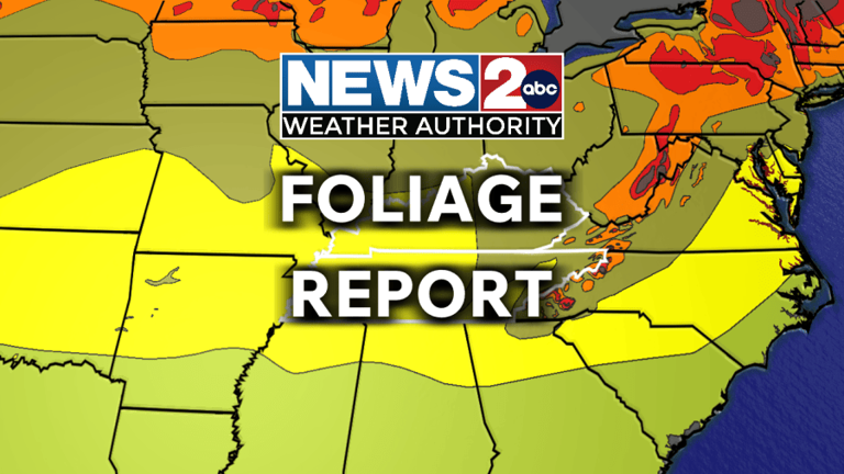Fall foliage: Where Tennessee leaves are changing color first