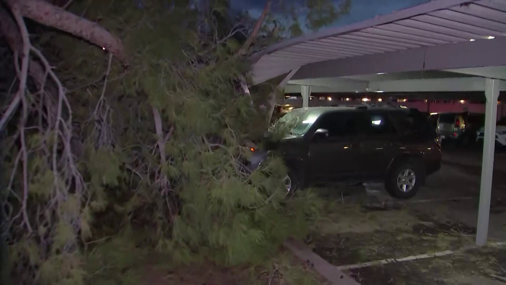 Storm leaves cars crushed, trees uprooted at Mesa apartment complex