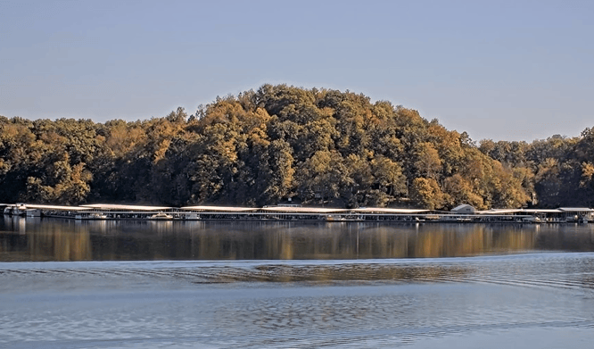 Fall foliage: Where Tennessee leaves are changing color first