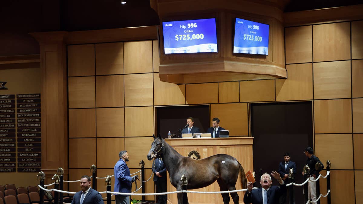 Nyquist filly tops third session of Fasig-Tipton Kentucky October yearlings