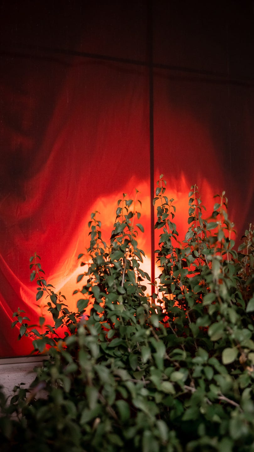 How to make a shocking Halloween window fire illusion