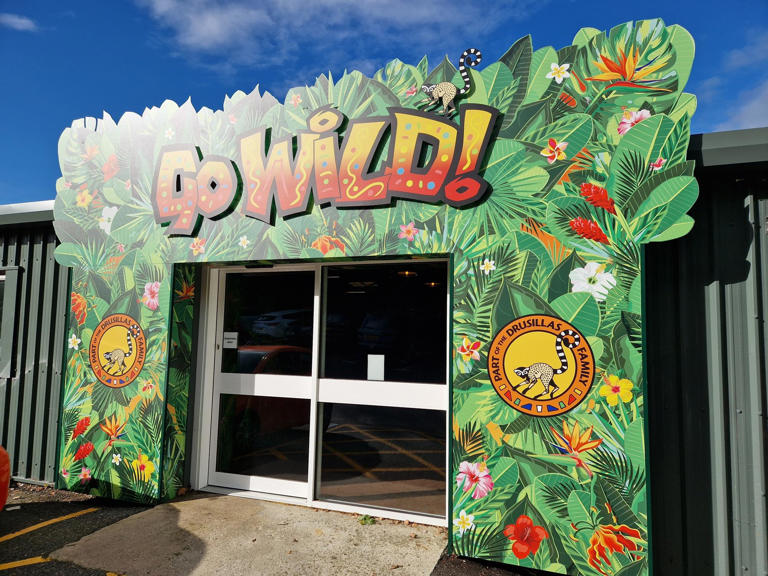 New Sussex trampoline park opens – there are so many activities on offer