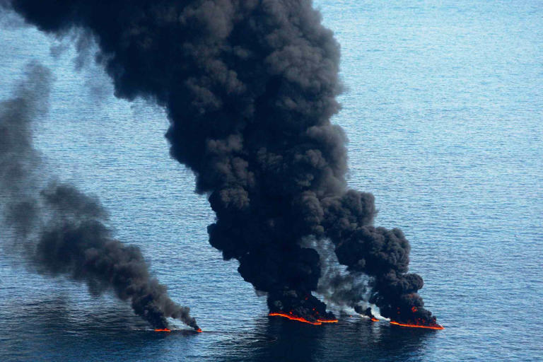16 years after catastrophic oil spill, marine life drastically declined ...