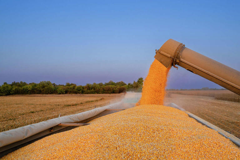 Grain tours result in projected $200 million in grain sales