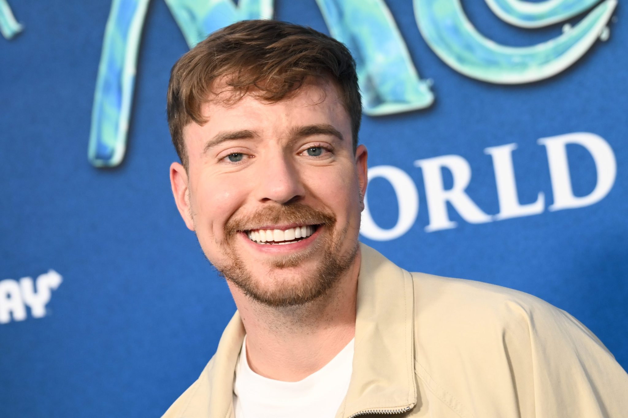 You're no longer an influencer ... you're a cofounder: MrBeast's business resembles a Fortune 500 holding company, investor Steven Bartlett says