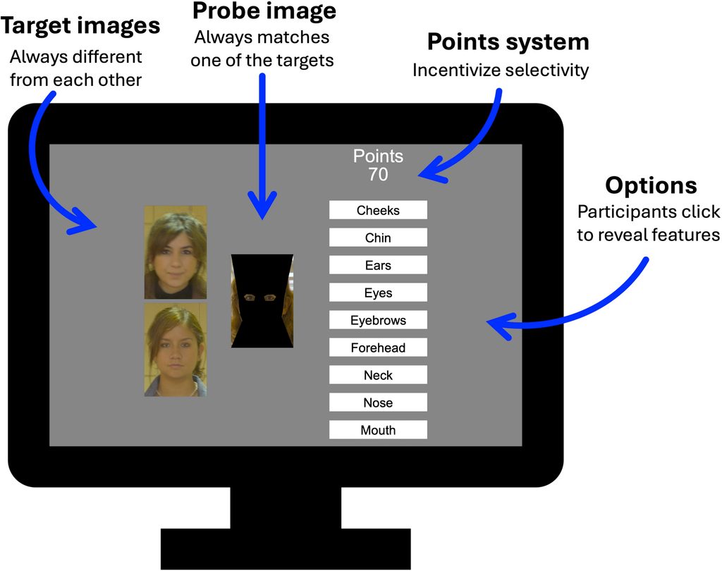 Forensic face experts recognize someone just from eyes or ears