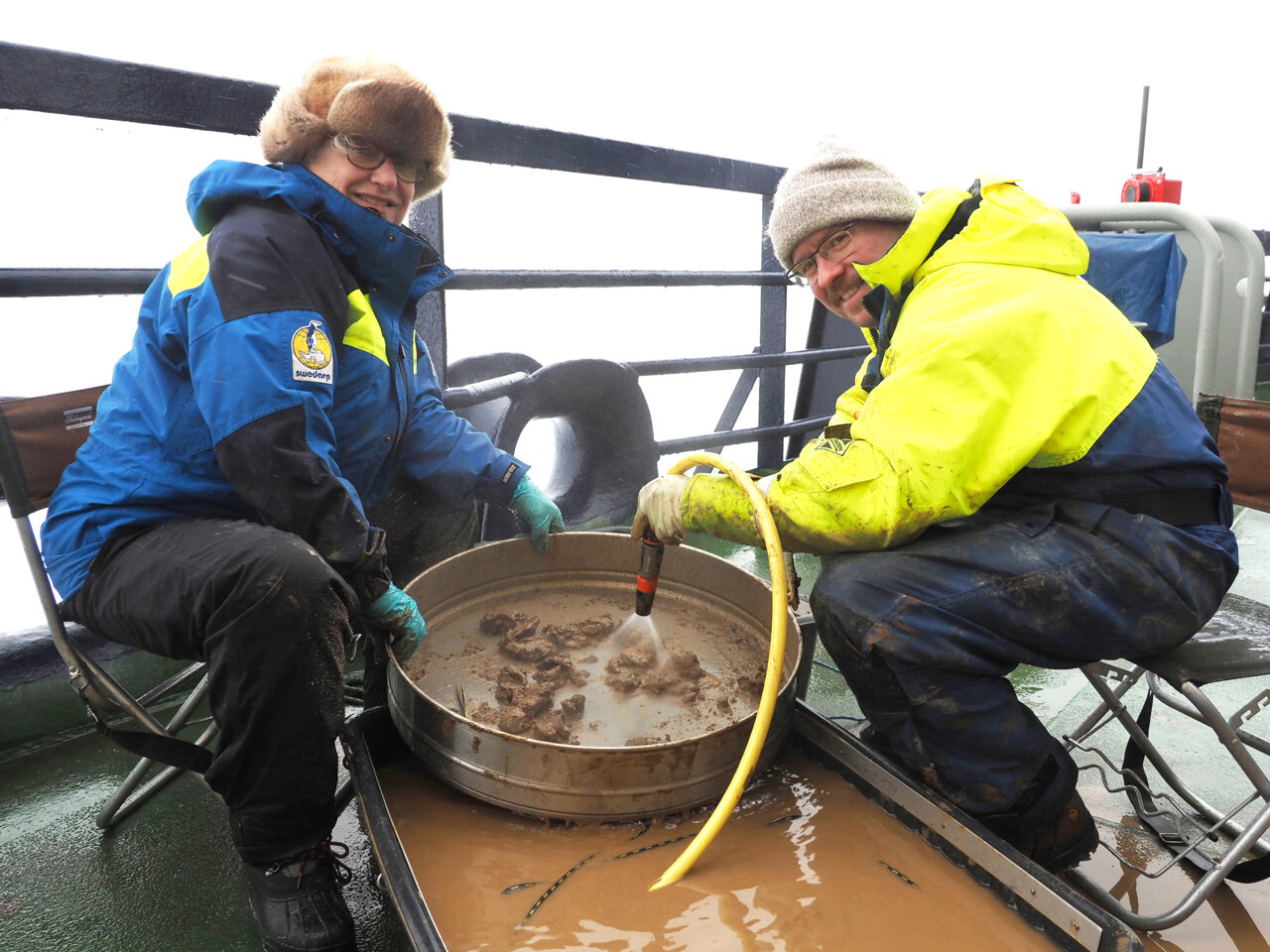 Ancient fish bones reveal how Arctic cod species survived the last ice age