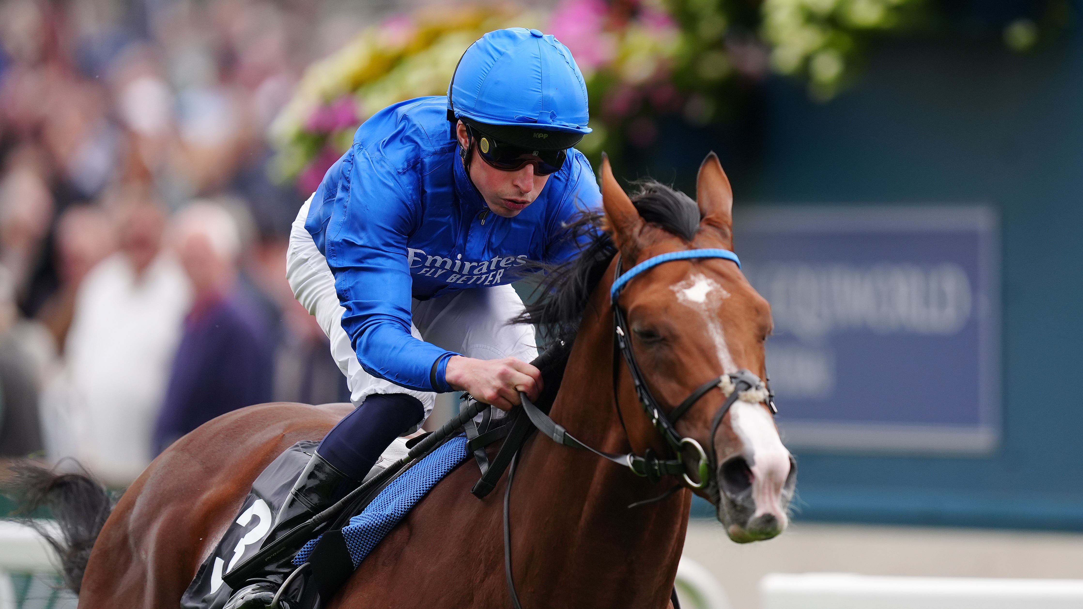 Gosden decides against Breeders’ Cup for Ombudsman