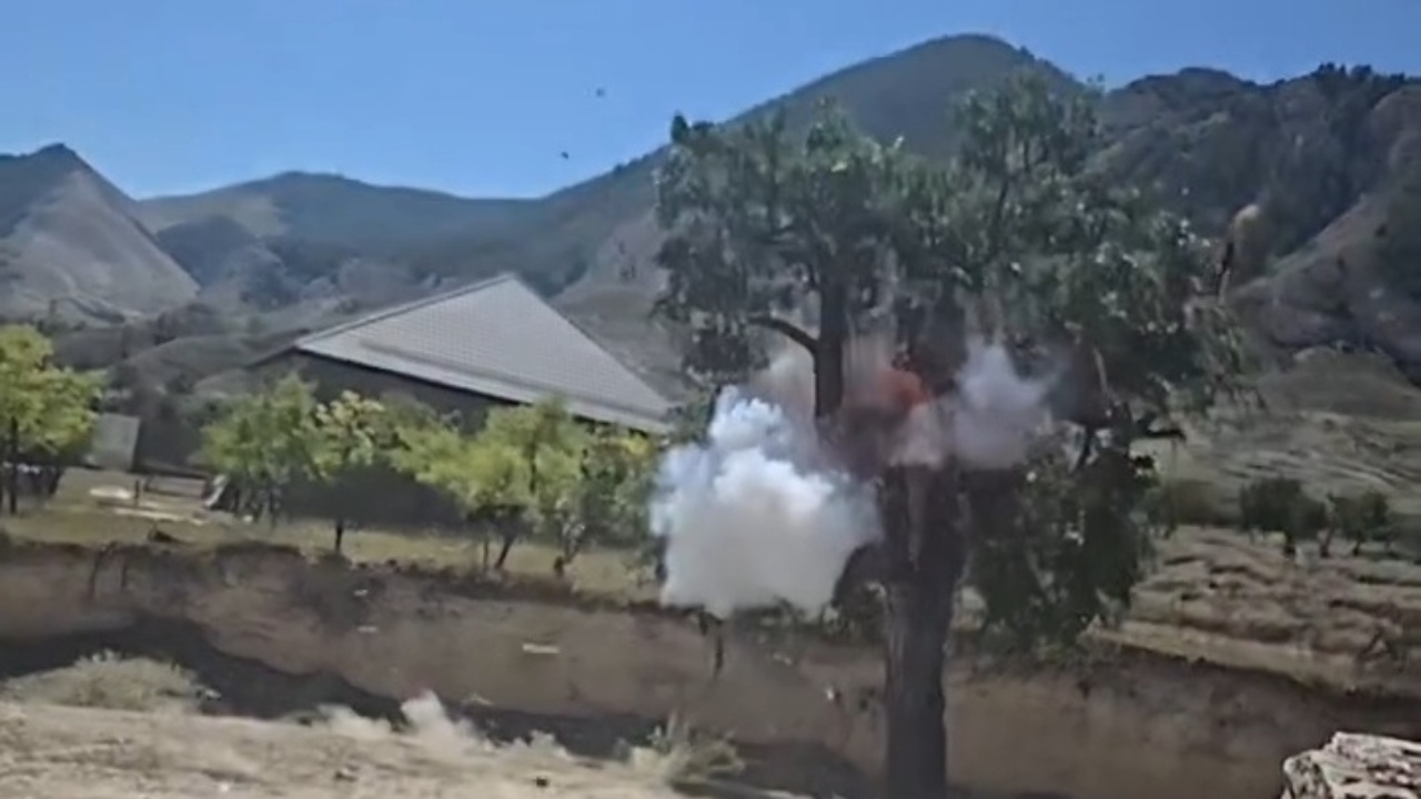 Mysterious shot causes violent explosion on standing tree
