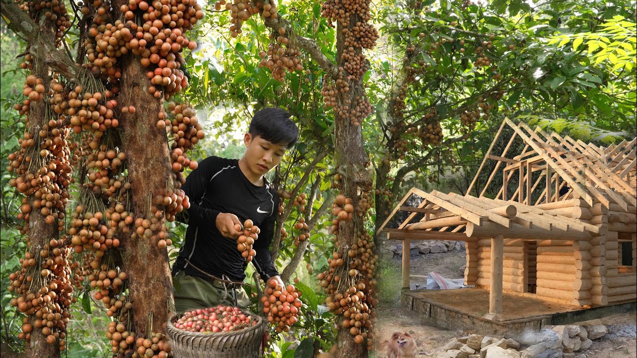 Discovering the sweetness of wild red grapes