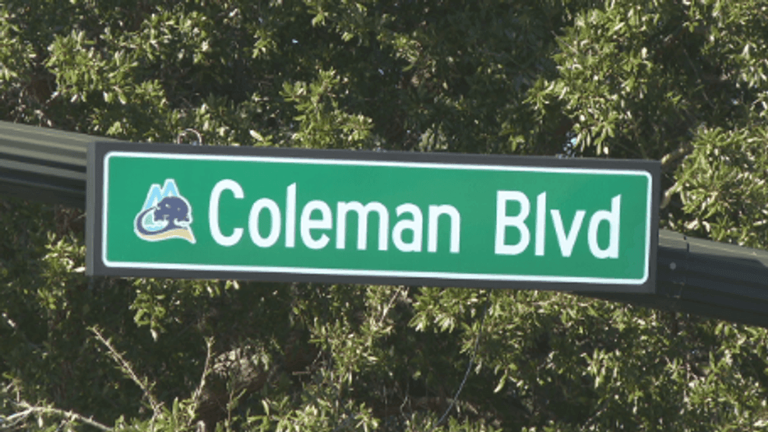 Mount Pleasant board delays vape shop signage approval near Moultrie ...
