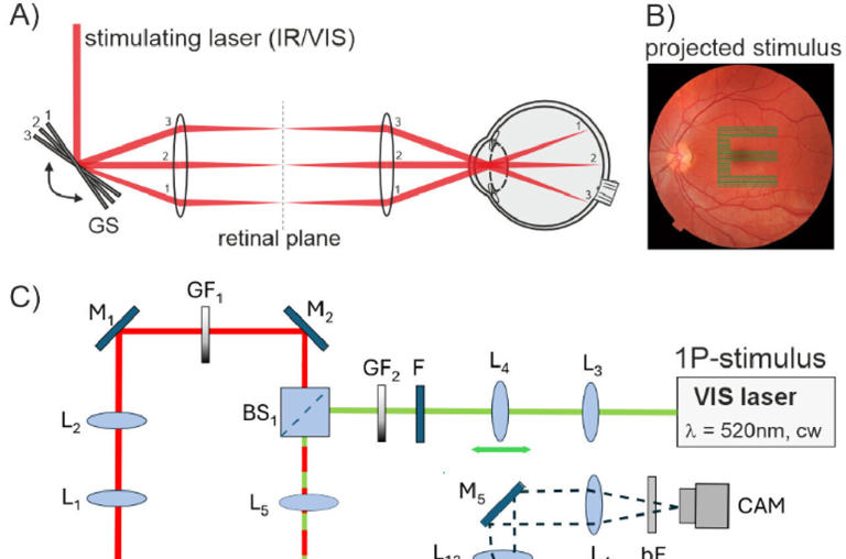 Invisible infrared light creates green letters that are less prone to blur