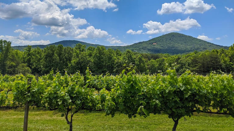 Forget Florida, retire to Georgia's Blue Ridge escape with parks ...