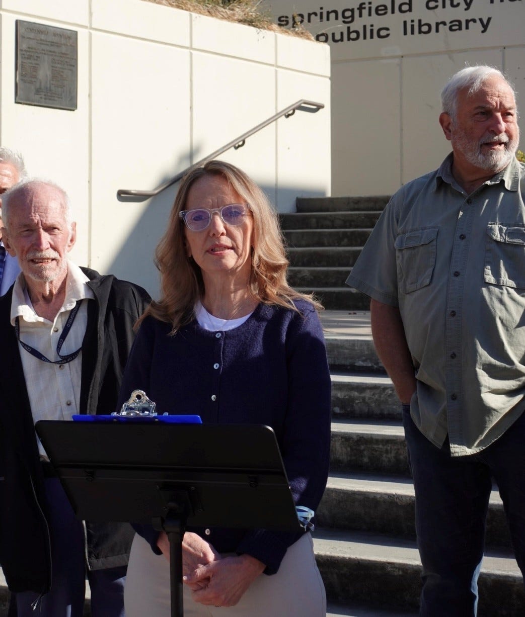 Taken or returned? Campaign signs fuel Springfield election rift
