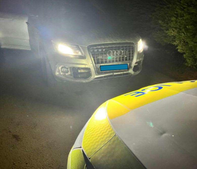 Cinderella poacher flees police in Faversham as car and dog seized