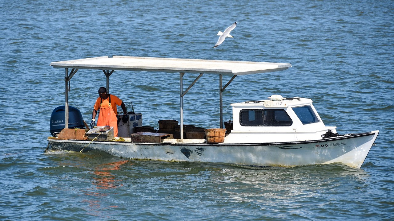 Standard counts miss more than 150% of the heat in marine heatwaves, a ...