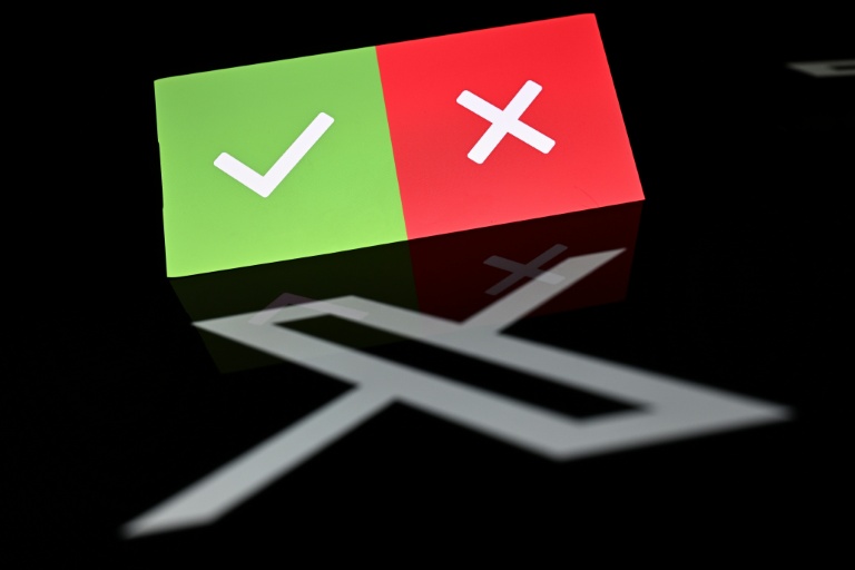X community notes 'failed' to flag US election falsehoods, study says