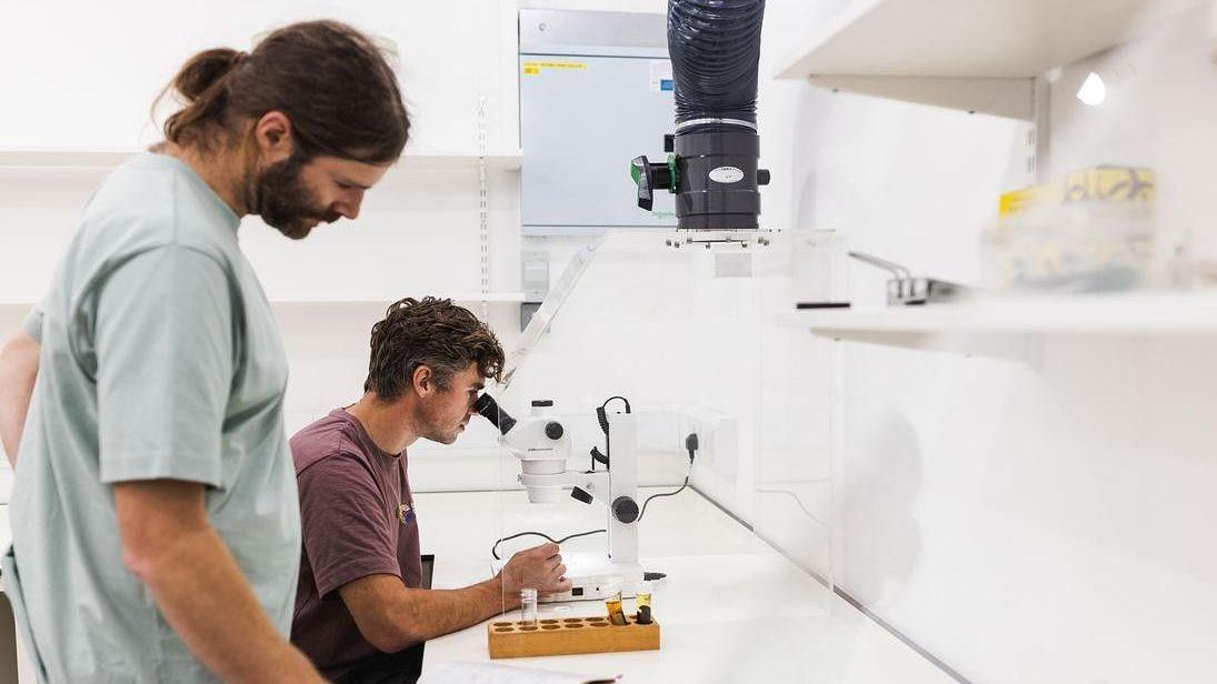 New lab to become centre for investigating uplands