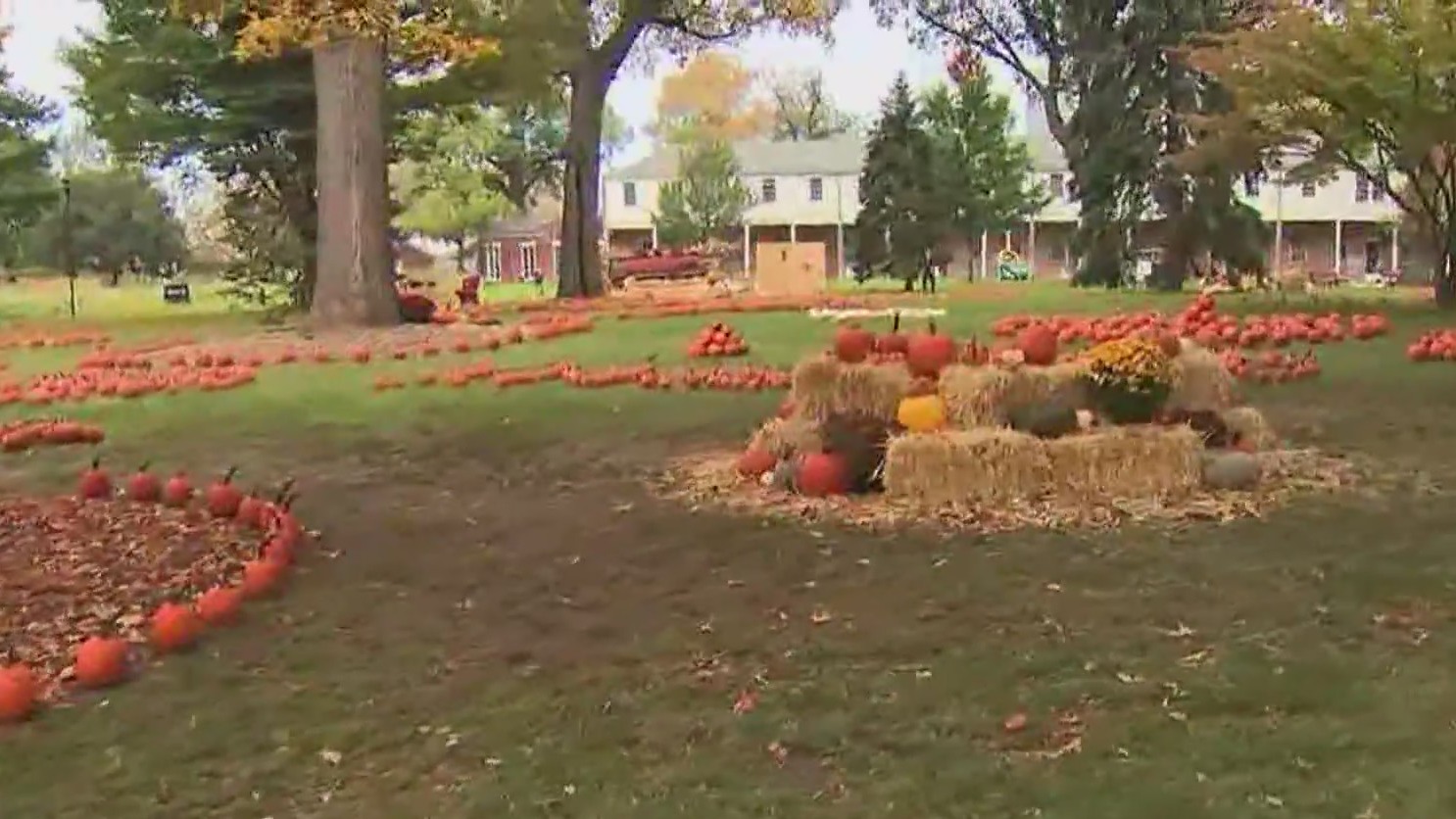 Governors Island prepares for pumpkin festival while major upgrades ...